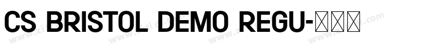 CS Bristol Demo Regu字体转换